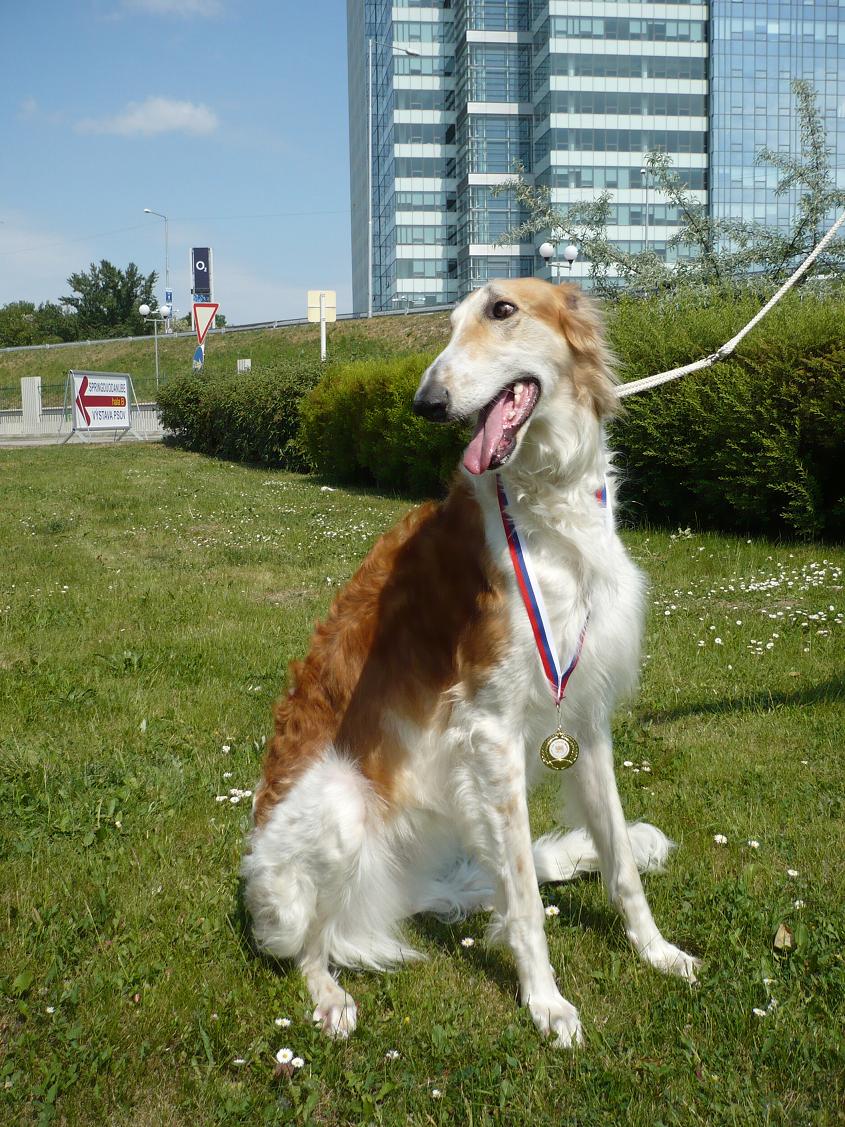 P1010587.JPG